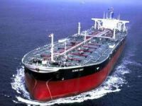 WhatsApp_Image_2019-05-17_at_174009